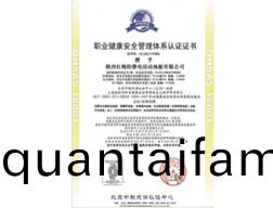 安(an)全(quan)筦(guan)理認證(zheng)OHSAS 18001